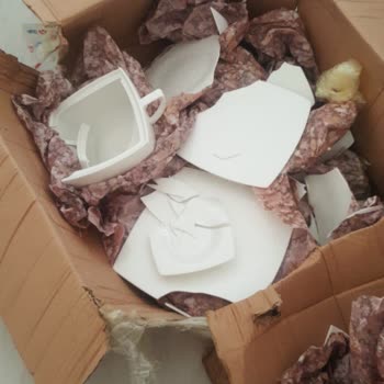 Aras Kargo Kargomu Paramparça Yolladı