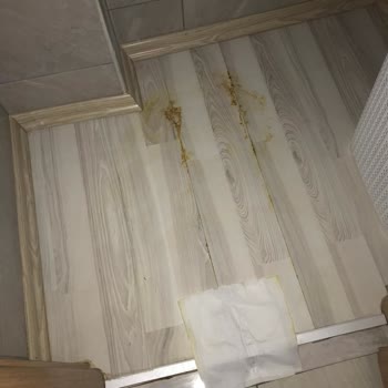 Bereket Sigorta Konut Sigortası Poliçesi Yaptırdım Gelip Bakmadılar
