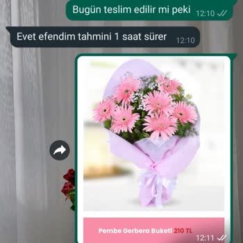 Gmail Tunceli Çiçek Siparişi Mağduriyeti