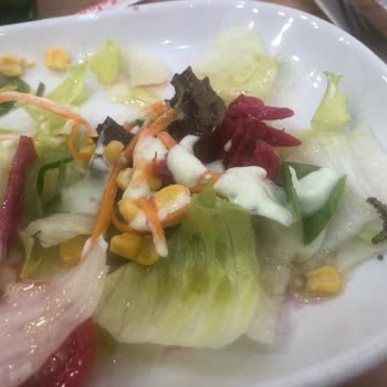 Green Salads Bozuk Ve Steril Olmayan Gıda