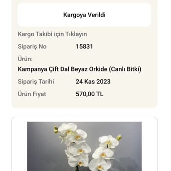 Ofiscicekleri.com Teslim Edilmeyen Sipariş