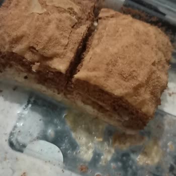 Tatbak Gıda Soğuk Baklavadan Böcek Çıktı