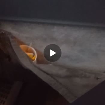 As Adana Seyahat Otobüsün Geç Gelmesi Üstüne 2 Kere Bozulup Mağdur Olmamız