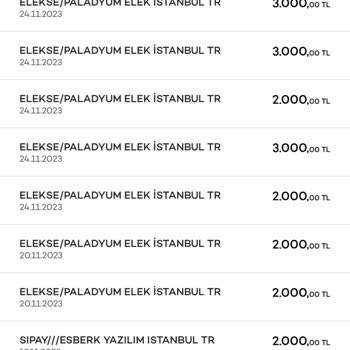 Elekse Ödeme Kuruluşu Hesabımdan Giden Paralar