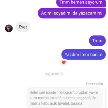 İremvepatileri (Instagram) Ücretsiz Kedi Alacaktım Paramı Alıp Engellediler