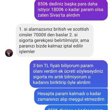 İremvepatileri (Instagram) Ücretsiz Kedi Alacaktım Paramı Alıp Engellediler