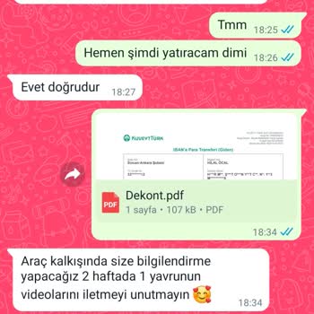 İremvepatileri (Instagram) Ücretsiz Kedi Alacaktım Paramı Alıp Engellediler
