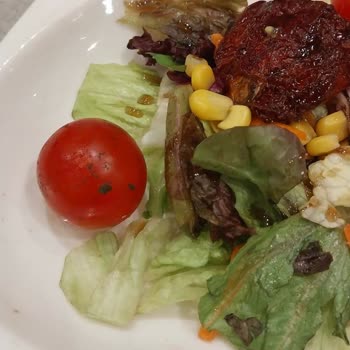 Tavuk Dünyası Hijyen Ve Sağlık