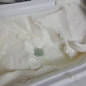 Torku Yeni Açılmış Labnenin Dibinde Küf