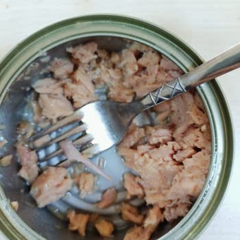 Dardanel Ton Balığında Kılçık