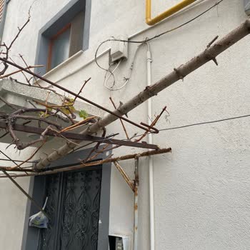Türk Telekom Yardımcı Olmuyor Kutu Var Sistemde Yok Diye Bakmıyor