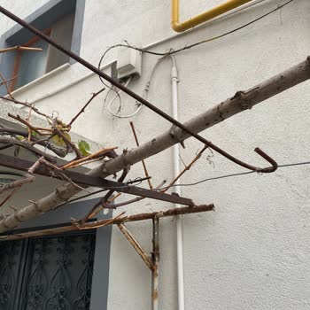 Türk Telekom Yardımcı Olmuyor Kutu Var Sistemde Yok Diye Bakmıyor