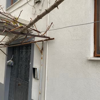 Türk Telekom Yardımcı Olmuyor Kutu Var Sistemde Yok Diye Bakmıyor