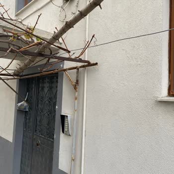 Türk Telekom Yardımcı Olmuyor Kutu Var Sistemde Yok Diye Bakmıyor