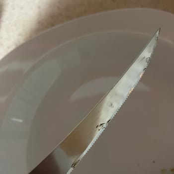 Arçelik Bulaşık Makinesi Paslanma Sorunu