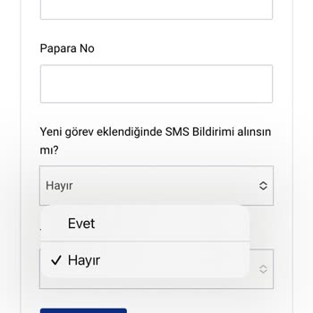 Anket Deposu Mesajları Gelmesin Artık