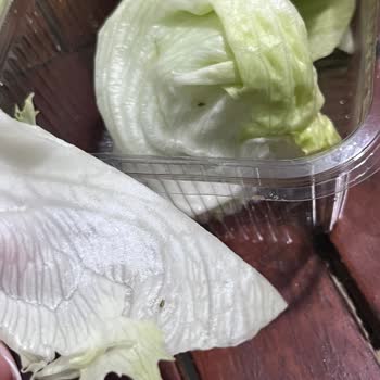 Komagene Yemekten Böcek Çıkması