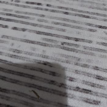 Rose'n Home Kesik Kesik Çizgiler Oluştu