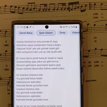 Samsung S 22 Ultra Mavi Sinyal Sorunu