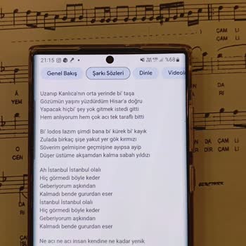 Samsung S 22 Ultra Mavi Sinyal Sorunu