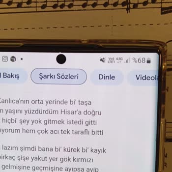 Samsung S 22 Ultra Mavi Sinyal Sorunu