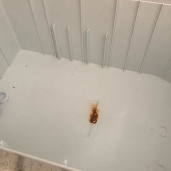 Aura Cebilon İhlas Arıtma Cihazının Servis Hatası Sonrası Sürekli Bozulması