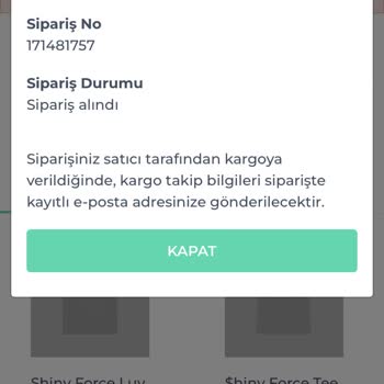 Shiny Force 10 Gündür Kargoya Verilmemesi