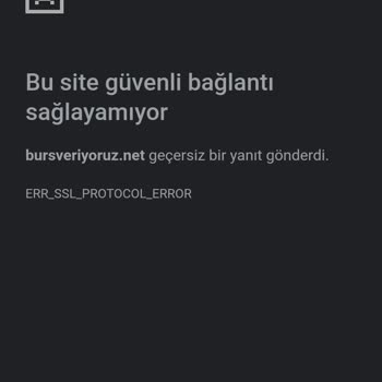 Bursveriyoruz.org Her Türlü Bilgimi Verdim, Güvenilir Sanmıştım!