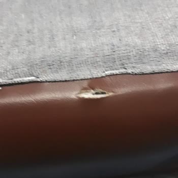 Pablo Home Concept Sıfır Koltuk Yırtık Olur Mu?