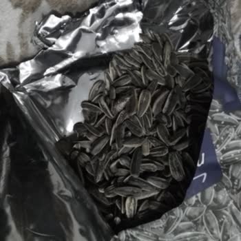 Çerezya Ambalajlı Ürünlerde Yabancı Cisim Bulunması
