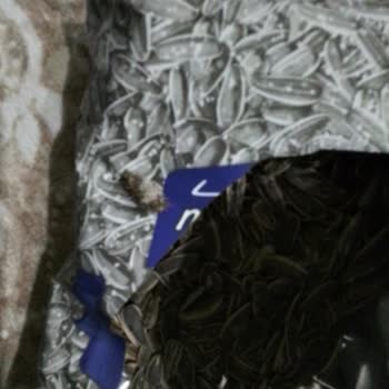 Çerezya Ambalajlı Ürünlerde Yabancı Cisim Bulunması