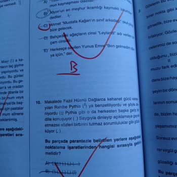 MEB Kitabı Dört Dörtlük