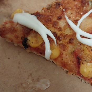 Domino's Pizza Pizzadan Sinek Çıktı