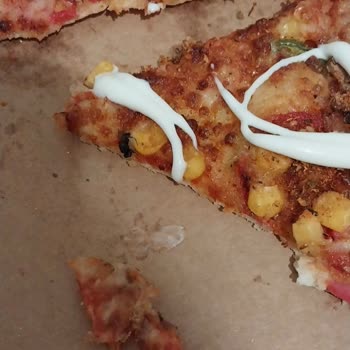 Domino's Pizza Pizzadan Sinek Çıktı