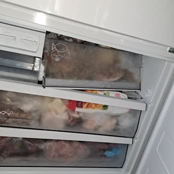 Arçelik Prosmartinverter Buzdolabı Buzluk Kapak Arızası