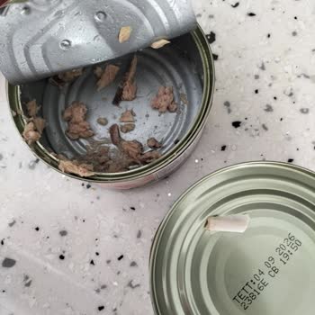 Migros Gıda Kalitesi Problemi