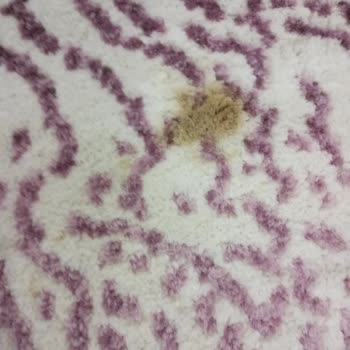 Gökhan Halı Yıkama (Gebze) Gebze'de Halı Yıkama Hizmeti Hakkında Değerlendirme