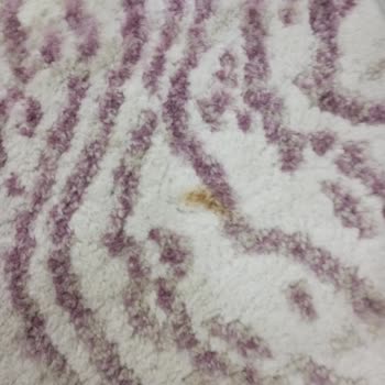 Gökhan Halı Yıkama (Gebze) Gebze'de Halı Yıkama Hizmeti Hakkında Değerlendirme