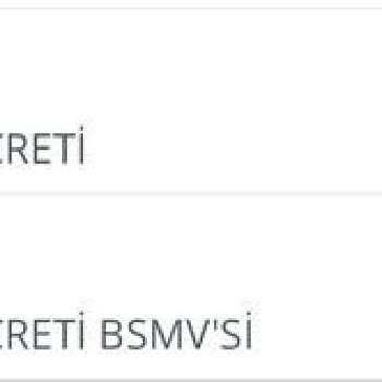 İş Bankası Business Kart 519.75TL Yıllık Aidatı Haksızlıktır.