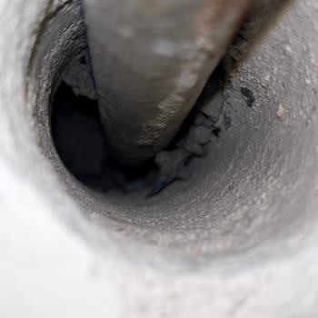 Baymak Sayesinde Evimizi Fareler Bastı!