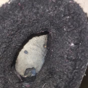 Derimarket'ten Bot Aldım, Pişmanım, Kaliteli Değil-hiç İlgilenmediler.