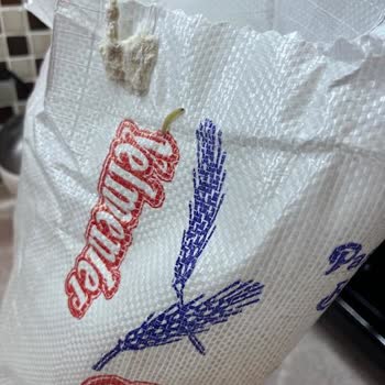 Yelmenler Un İçinde Kurtlar Çıktı.