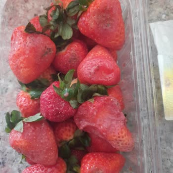 Migros Çürümüş Ürün Göndermeleri