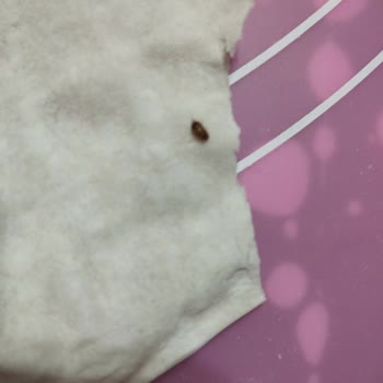 A101 Üçgen Yufkada Kalite Ve Hijyen Sorunları