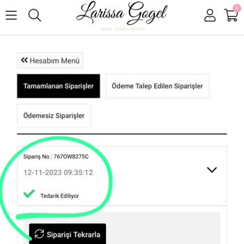 Larissa Gogel Teslimat Edilmemesi Para İadesi Yapılmaması