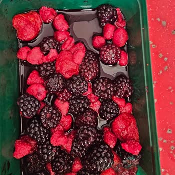 Migros Dan Donmuş Orman Meyvelerin Çürük Bozuk Olması