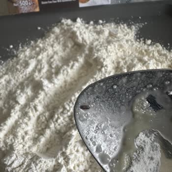 Sinangil Undan Çıkan Böcek