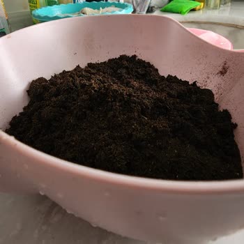 Çaykur Cay Toz İçinde