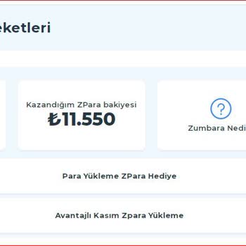 Zara Benden Habersiz Kredi Kartımdan İşlem Yapmış