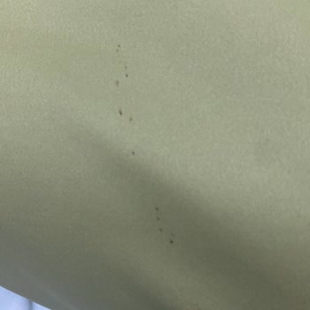 Kamil Keskin'in Küflü Kıyafet Satışı